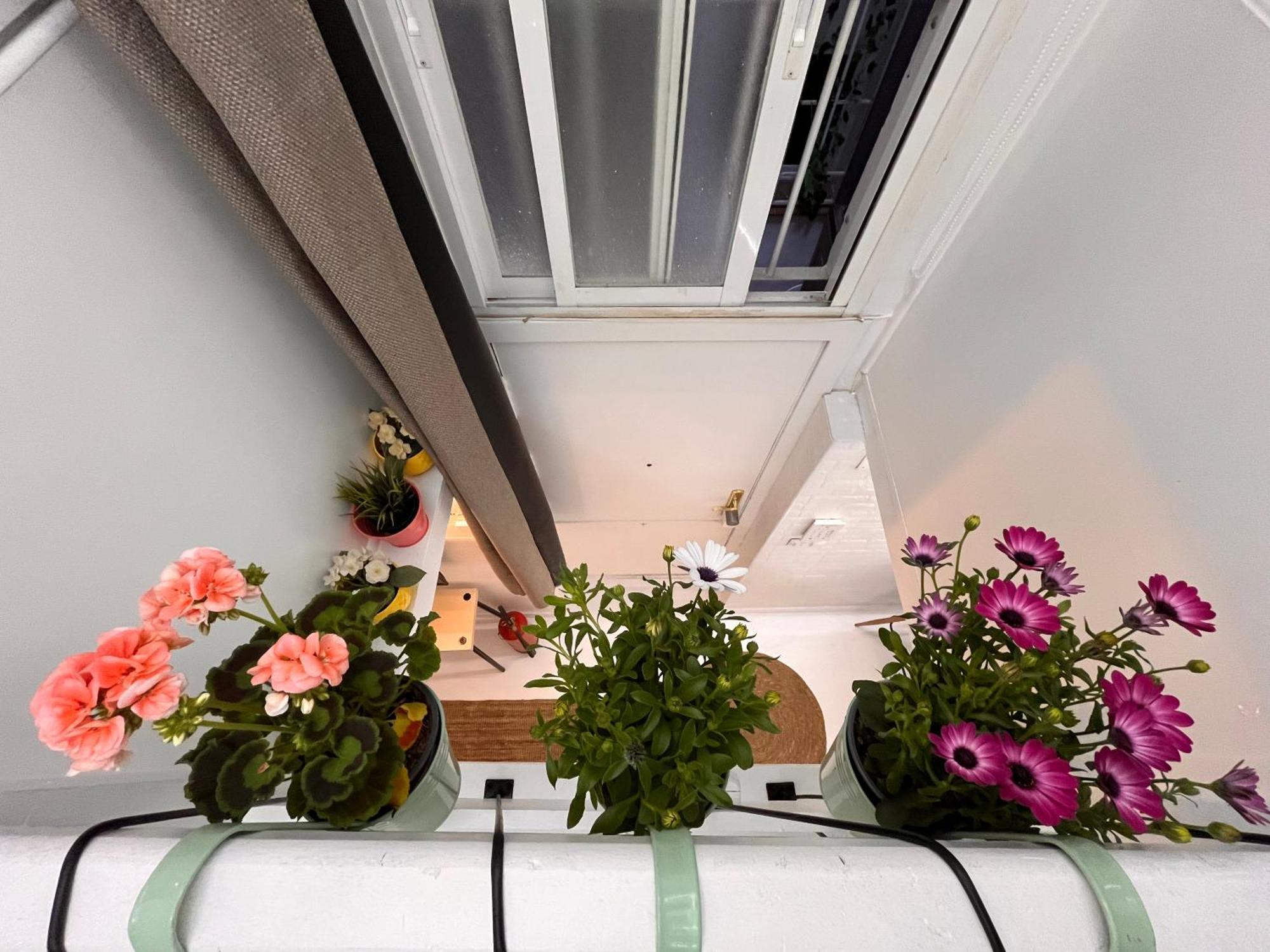 Mini Duplex4 Plaza Mayor Madrid Exterior photo